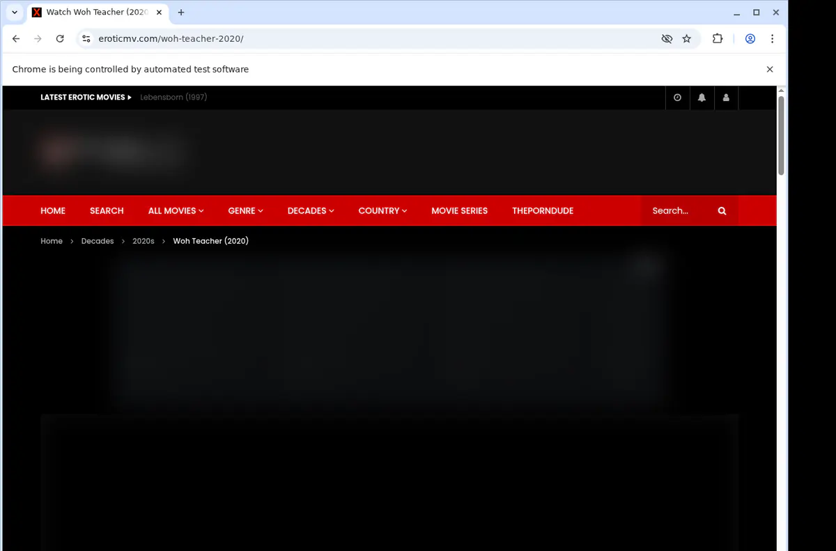 Eroticmv Video Downloader browser extension screenshot 2