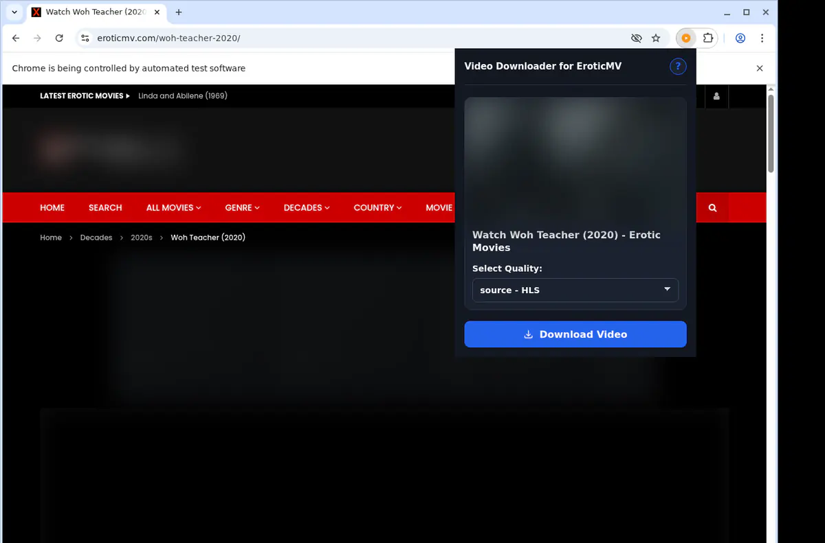 Eroticmv Video Downloader browser extension screenshot 3